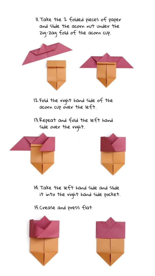 Acorn origami, steps 11 to 15: sliding the nut into the cup and tucking in the sides.